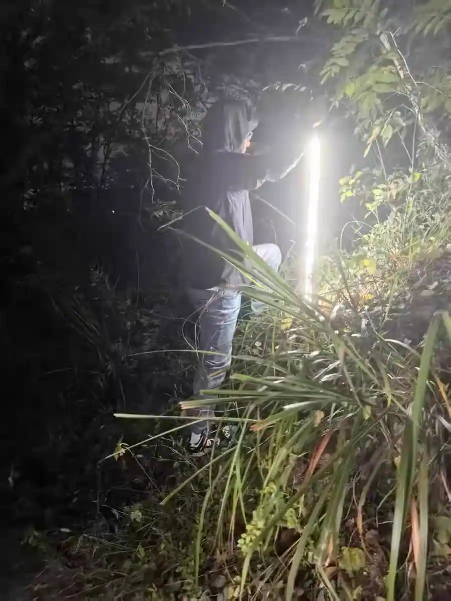 Glowing Hiking Pole photo review