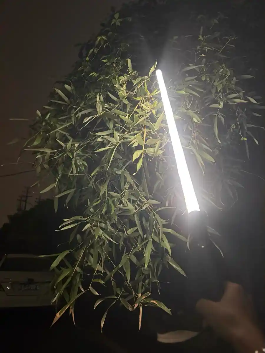 Glowing Hiking Pole photo review