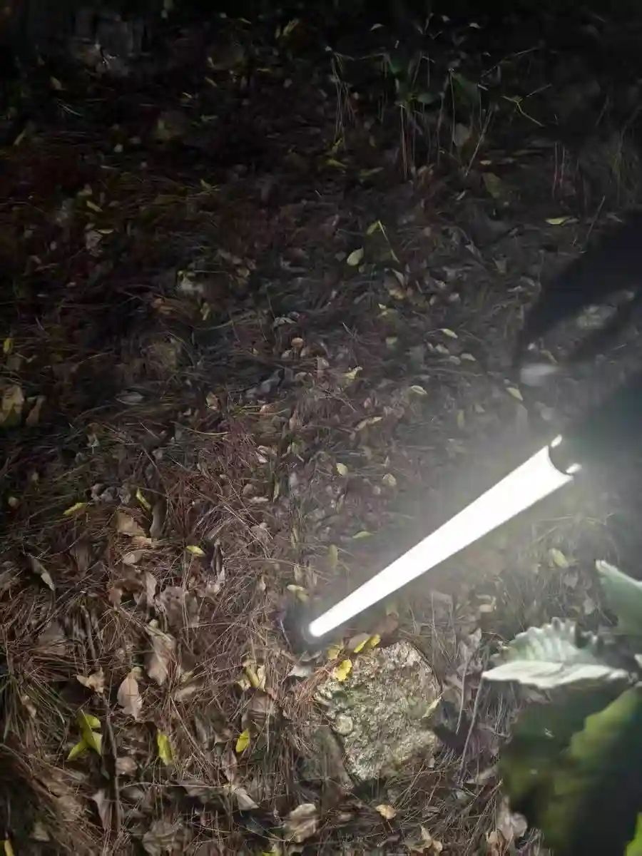 Glowing Hiking Pole photo review