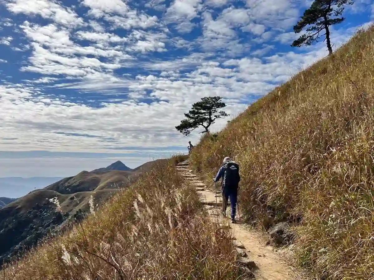 Glowing Hiking Pole photo review