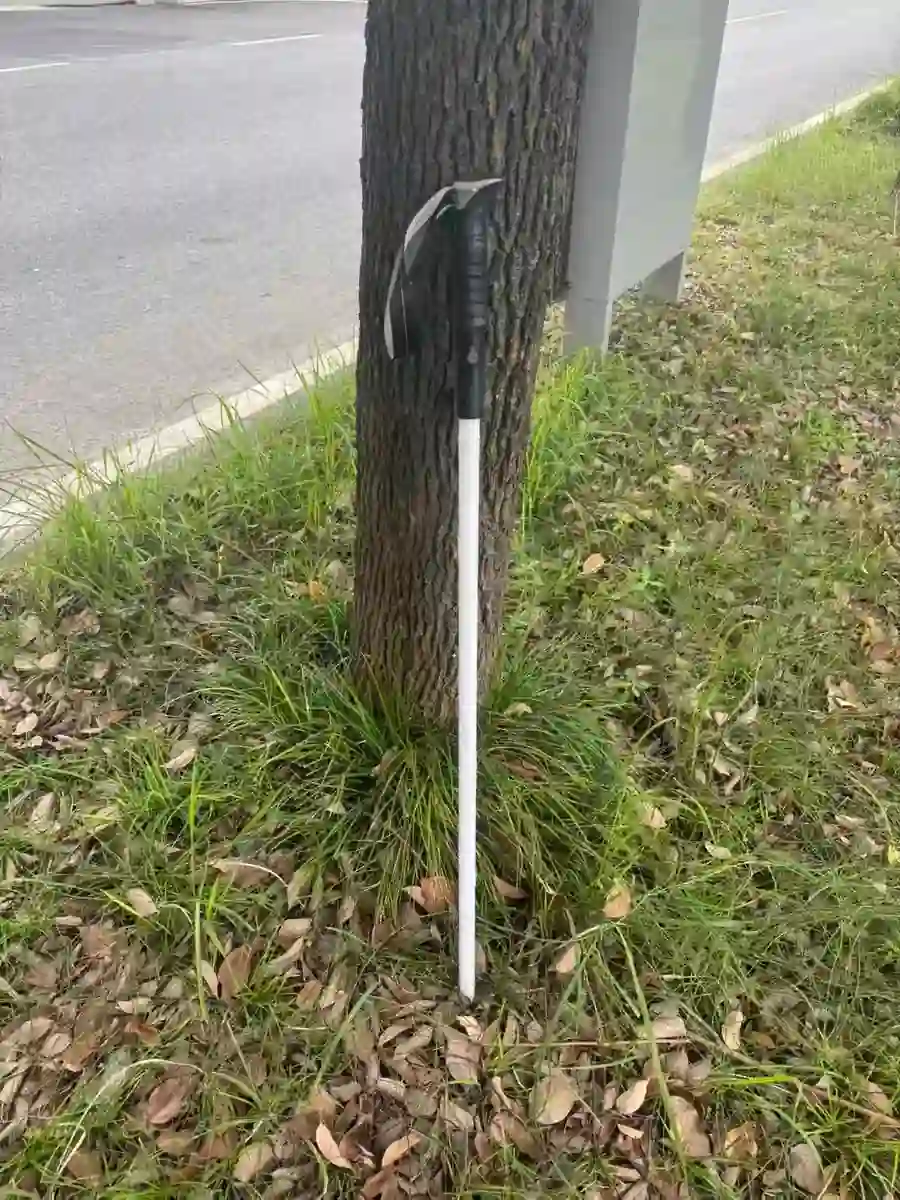 Glowing Hiking Pole photo review
